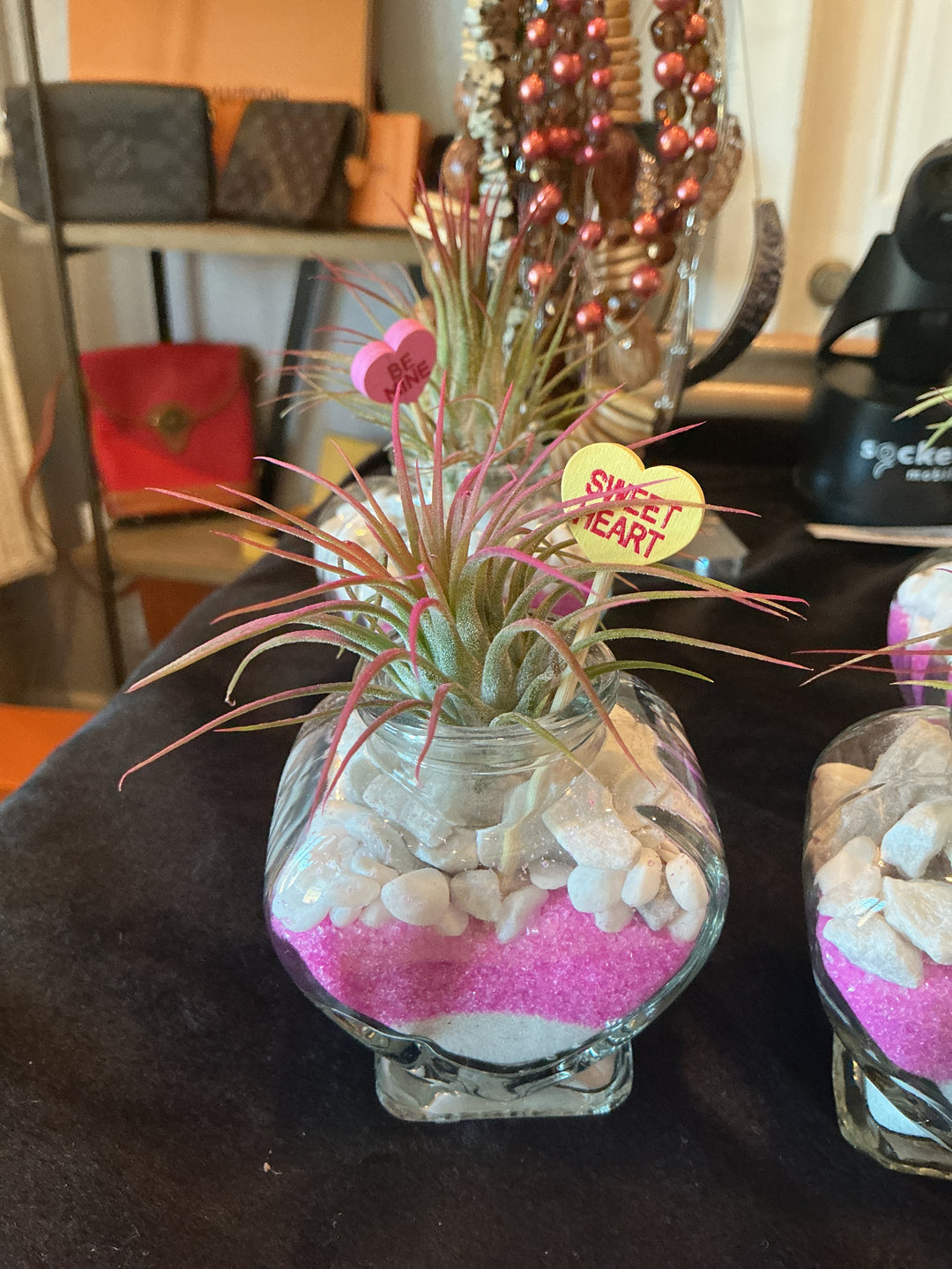 Air Plant Heart Gifts