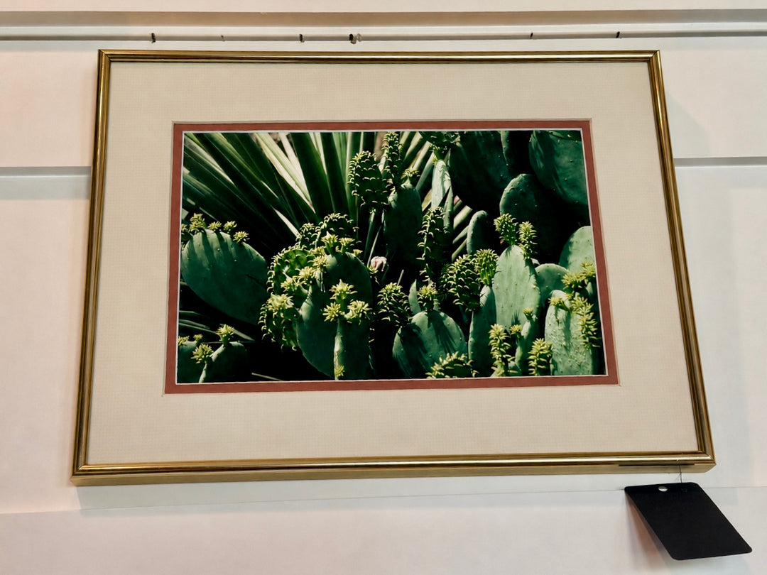Desert Cactus Botanical Print Wall Art Gold Frame Southwest Décor