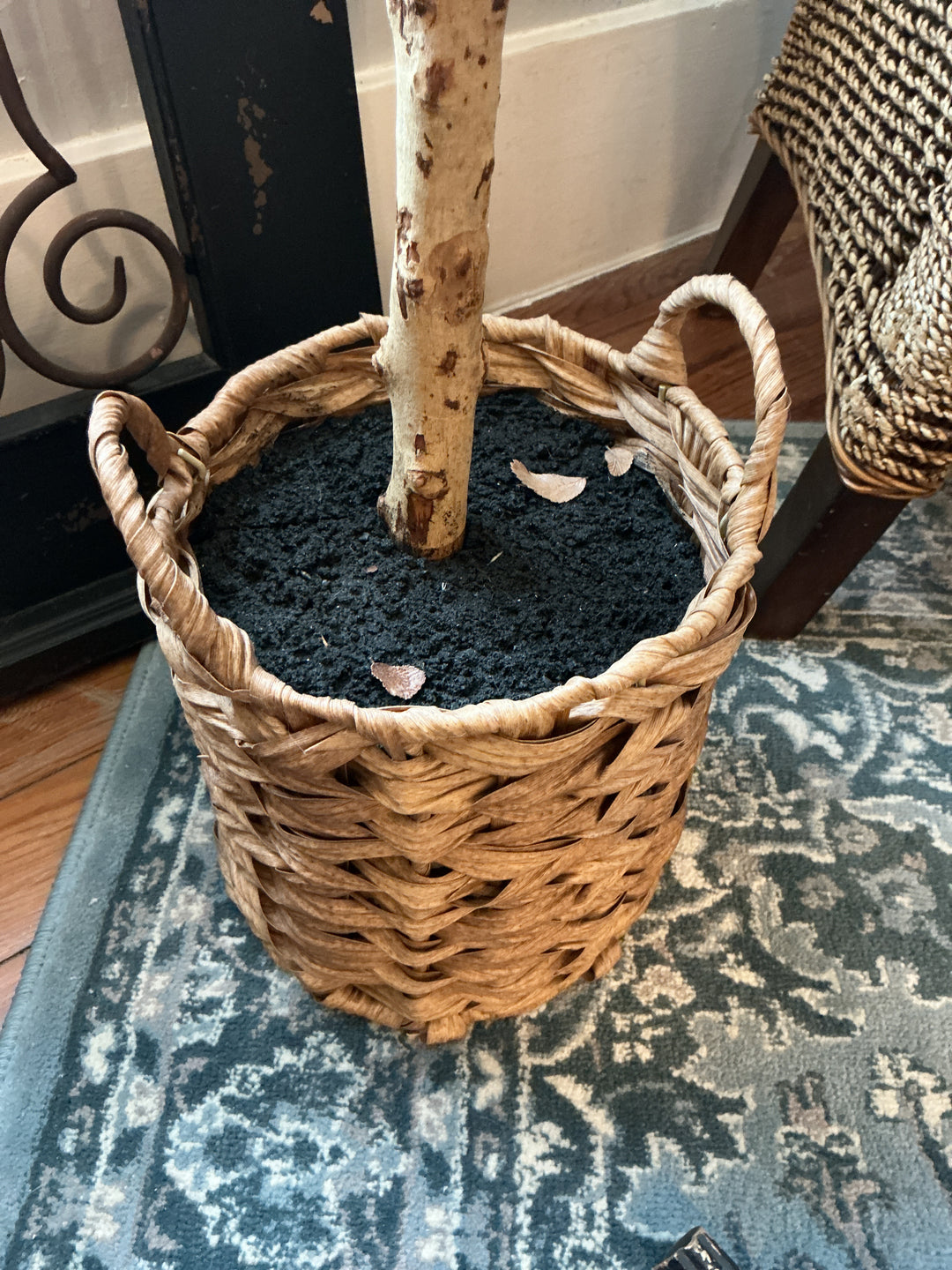 7’ Artificial Olive Tree