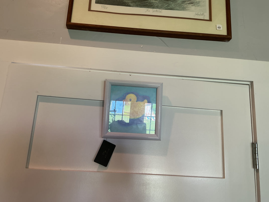 Yellow duck picture