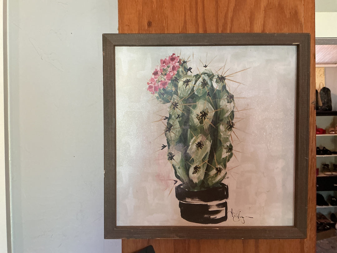 Cactus picture