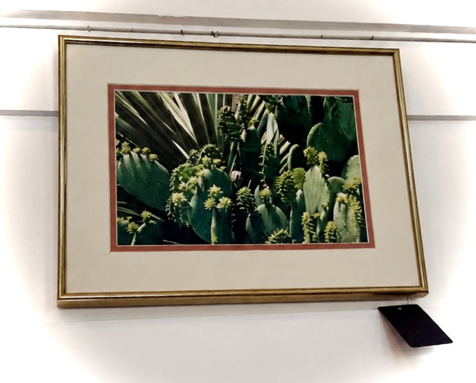 Desert Cactus Botanical Print Wall Art Gold Frame Southwest Décor