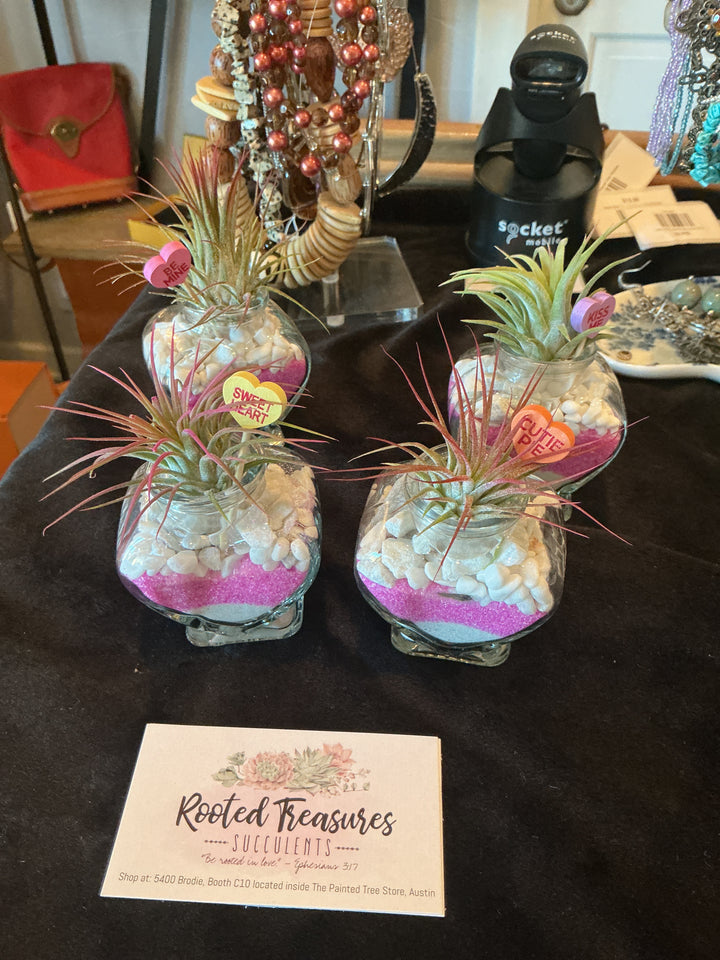 Air Plant Heart Gifts