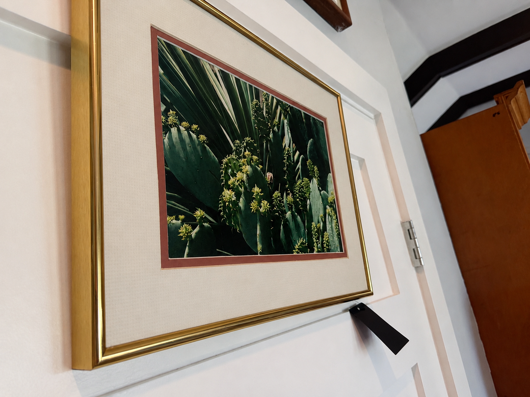 Desert Cactus Botanical Print Wall Art Gold Frame Southwest Décor